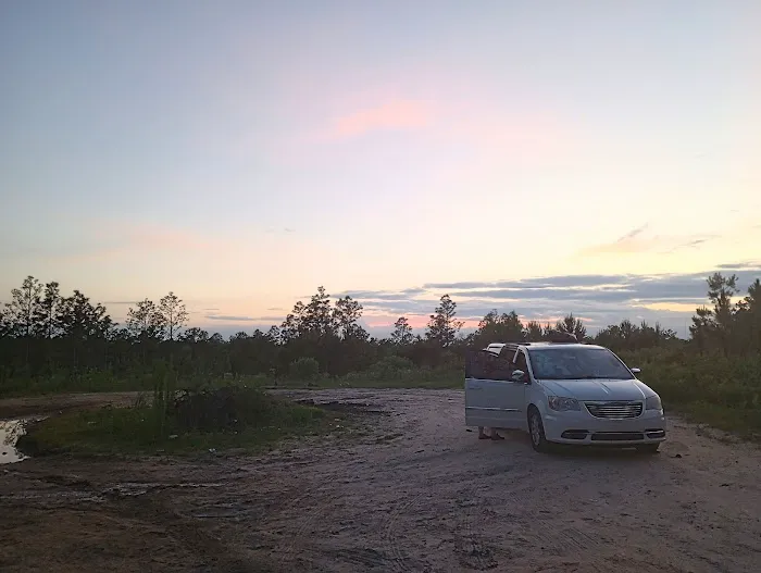 Tuskegee National Forest Campsite #8 Picture 9