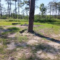 Tuskegee National Forest Campsite #10 ico