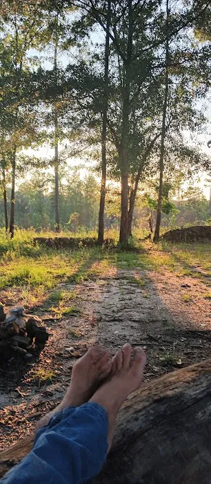 Tuskegee NF Tent Site #6 Picture 1