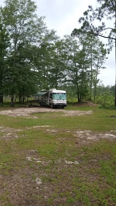 Tuskegee NF Tent Site #6 Picture 5