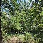 Johanna Woods Mobile Home Community