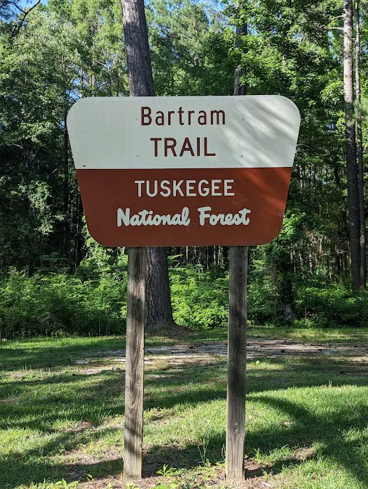 Tuskegee National Forest Campsite #11 Picture 1