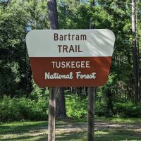 Tuskegee National Forest Campsite #11 ico