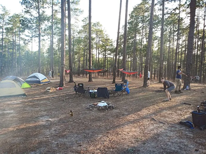 Tuskegee National Forest Campsite 12 Picture 1