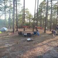 Tuskegee National Forest Campsite 12 ico