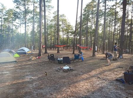 Tuskegee National Forest Campsite 12
