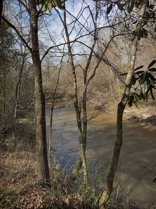 Tuskegee National Forest Campsite #1 Picture 3