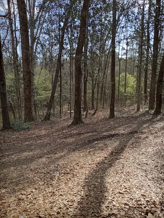 Tuskegee National Forest Campsite #1 Picture 2