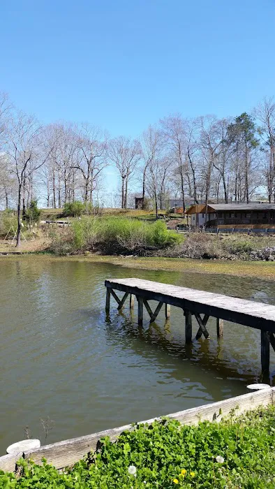 Okomo Camp Ground And Boat Launch Picture 8