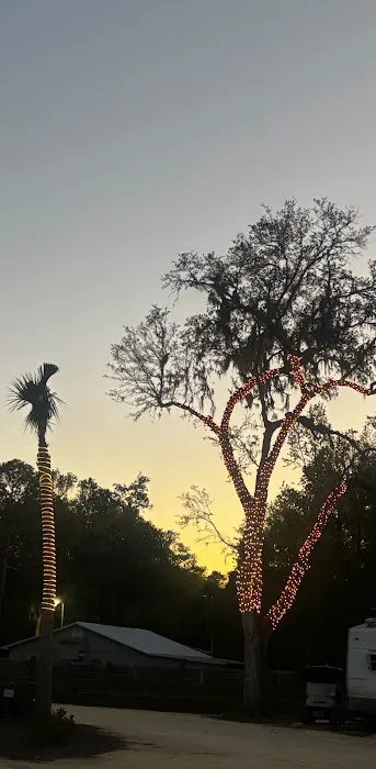 Glowing Palms RV Park, llc Picture 10