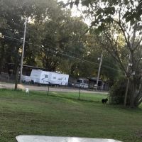 Oakwood Harbor ico