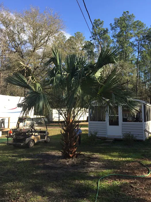 Shady Oaks Campground Picture 6