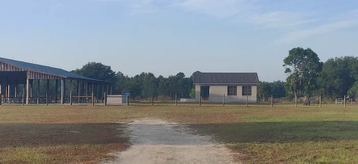 Lake Panasoffkee Picture 3