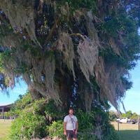 Lake Panasoffkee ico