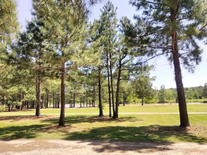 DW’s Lakeside RV Park Picture 8