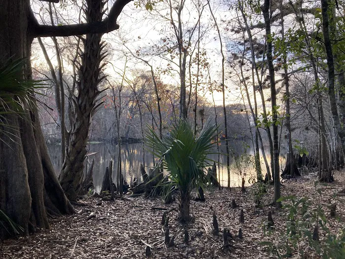 Potts Preserve Campground Picture 1