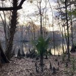 Potts Preserve Campground