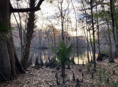 Potts Preserve Campground