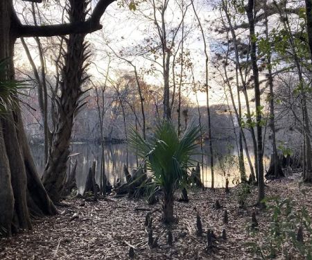 Potts Preserve Campground