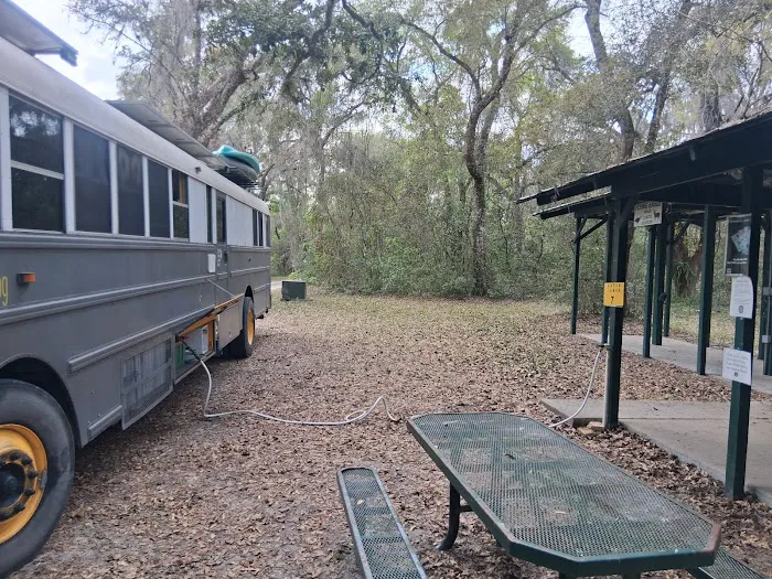 Flying Eagle Primitive Campground exact site Picture 6