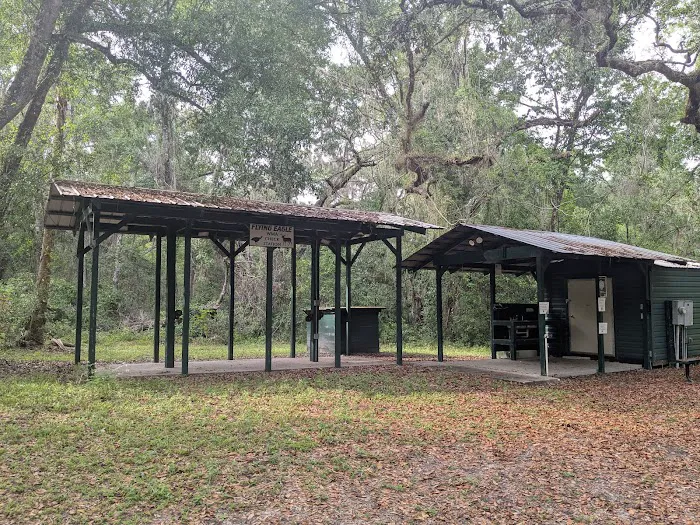 Flying Eagle Primitive Campground exact site Picture 10