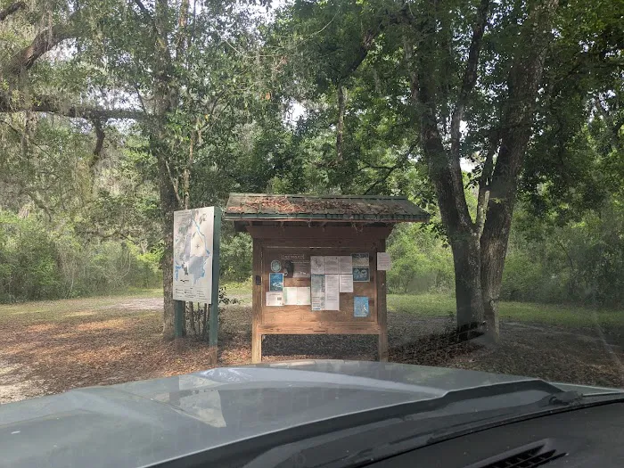 Flying Eagle Primitive Campground exact site Picture 9