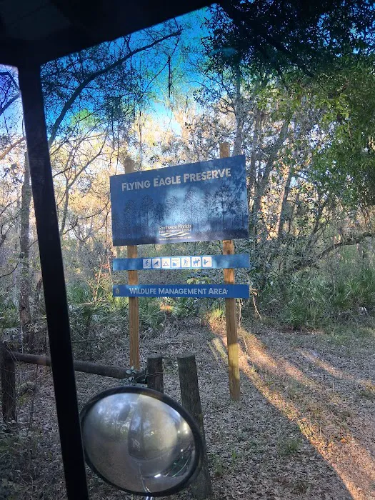 Flying Eagle Primitive Campground exact site Picture 3