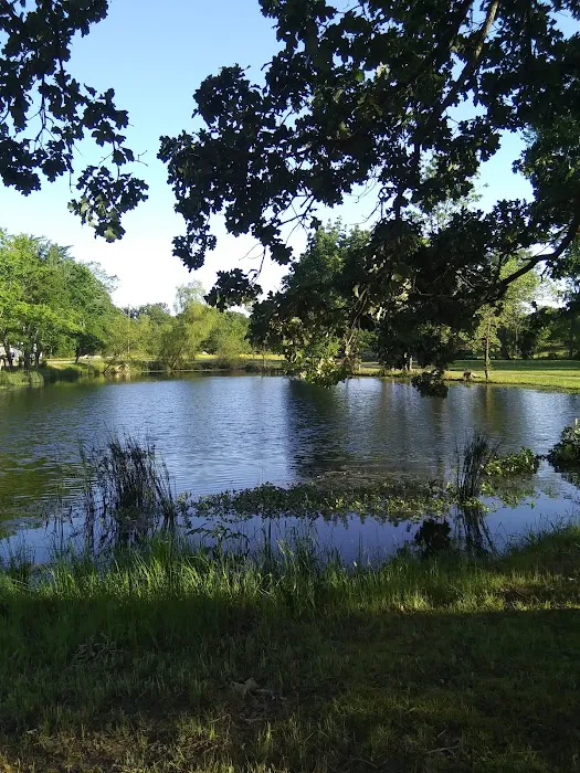 DW's RV Park Picture 2