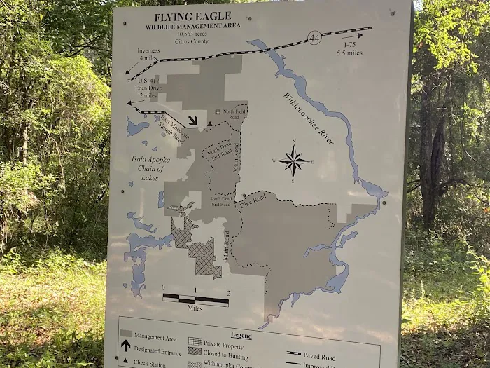 Flying Eagle Preserve Campground Picture 2