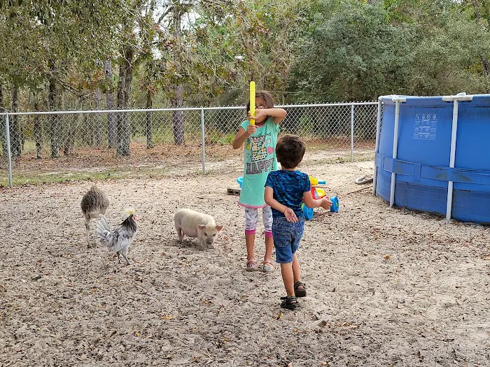 Happy Campers Rescue Ranch Picture 10