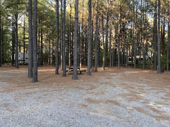 Little Pine Cabins & RV Park Picture 6
