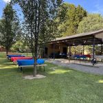 Little Pine Cabins & RV Park