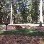 Thigpen's Hideaway
