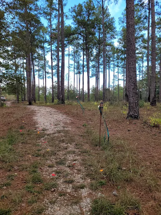 Bottomland RV Area Picture 8