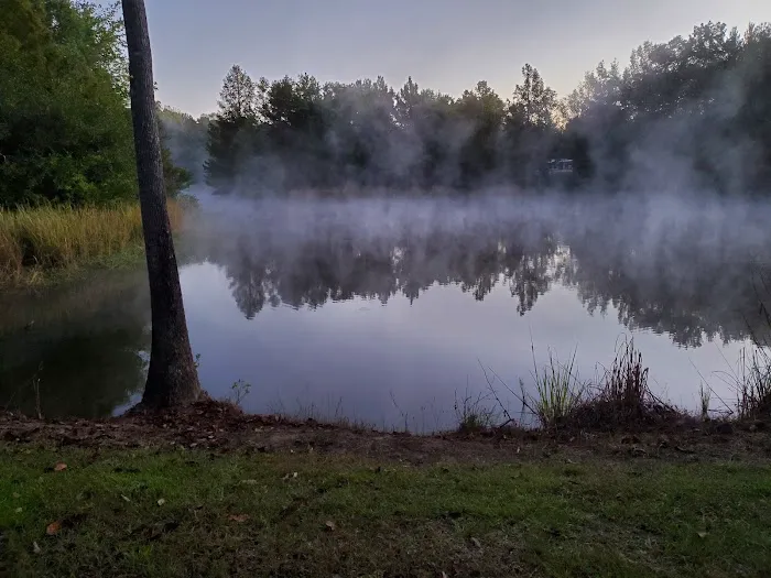 Bottomland RV Area Picture 6