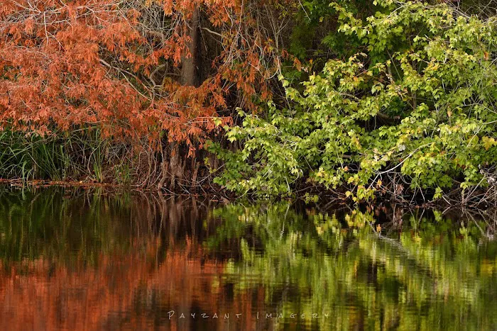 Bottomland RV Area Picture 4