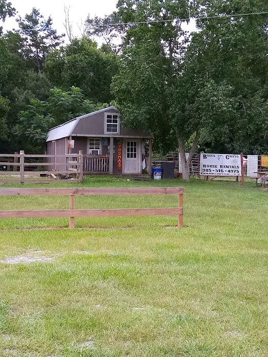 Bottomland RV Area Picture 1