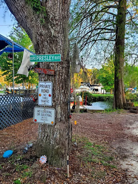 Fisher's Marina & Campground Picture 7
