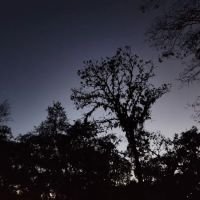 Holder Mine Campground ico