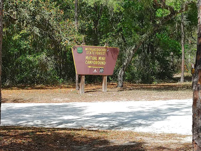 Mutual Mine Campground Picture 2