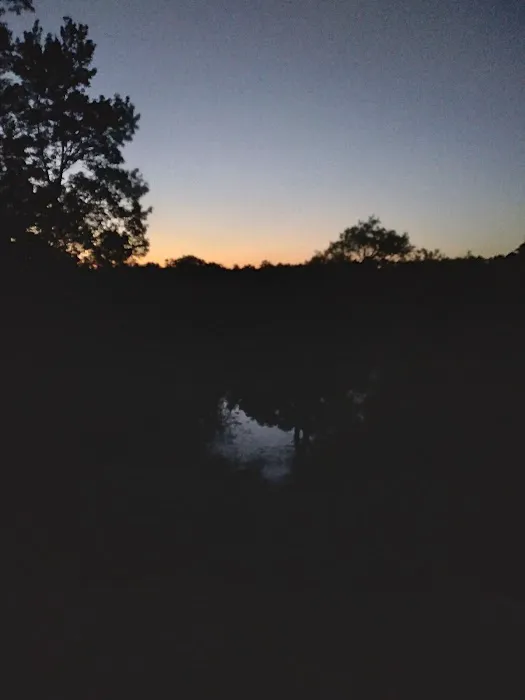 Mutual Mine Campground Picture 4