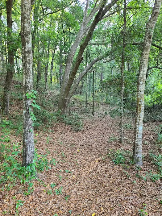 Mutual Mine Campground Picture 3