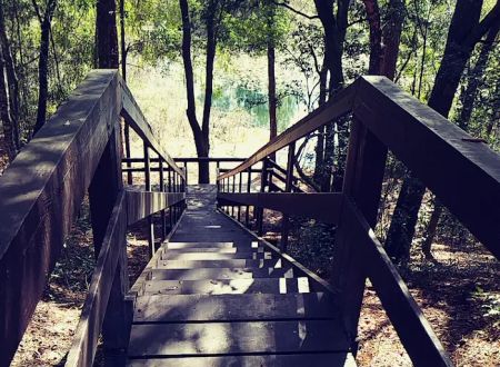 Mutual Mine Campground