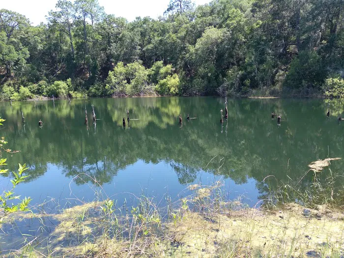 Mutual Mine Campground Picture 7