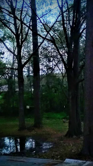 Pine Lake Mobile Home Court Picture 6