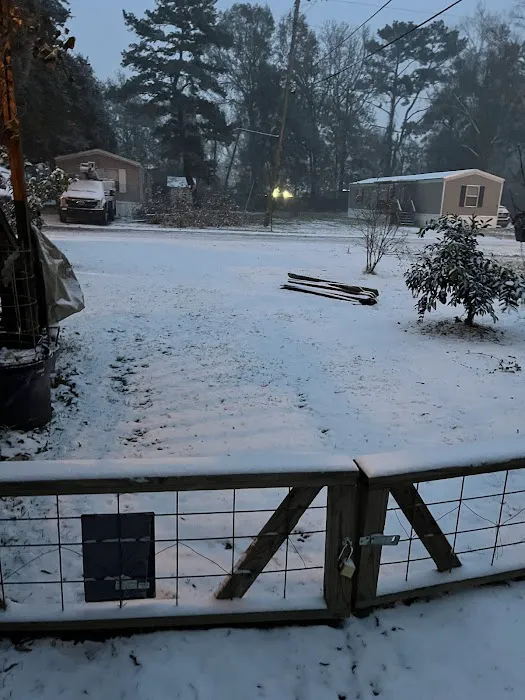 Pine Lake Mobile Home Court Picture 3