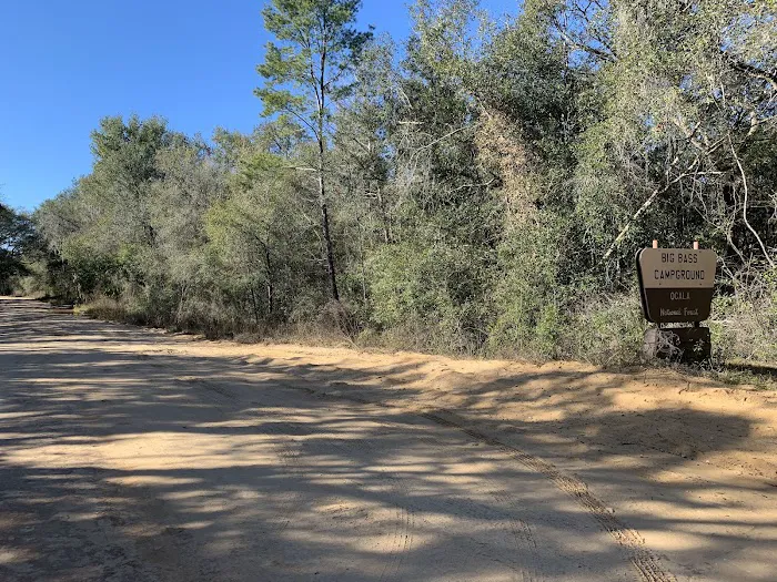 Big Bass Campground Picture 3