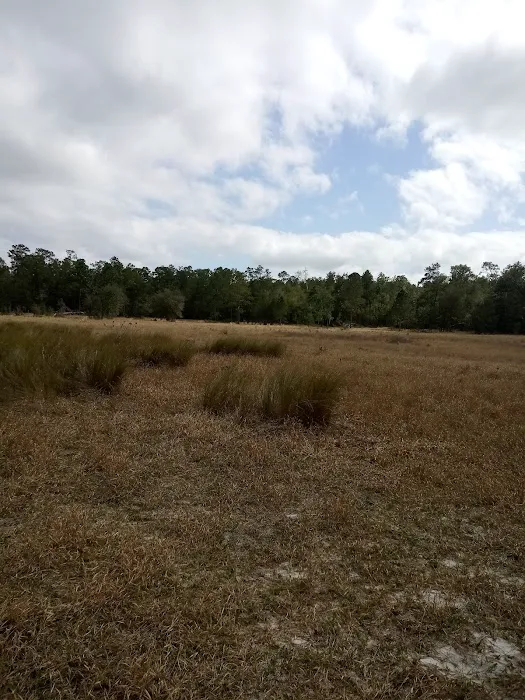 Big Bass Campground Picture 1