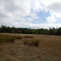 Big Bass Campground ico