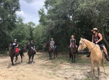Black Horse Resort Ranch